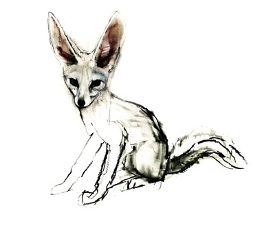 Foxy (Volpe di sabbia), 2009 da Mark Adlington