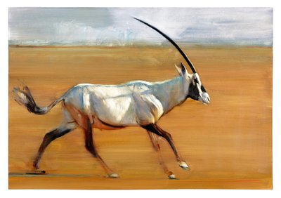 Oryx al galoppo, 2010 da Mark Adlington