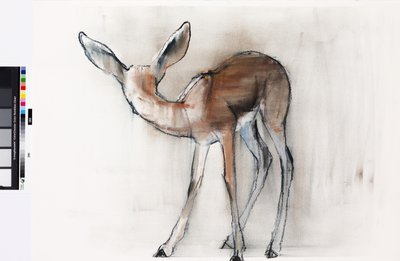 Cerbiatto di gazzella (Gazzella araba) da Mark Adlington