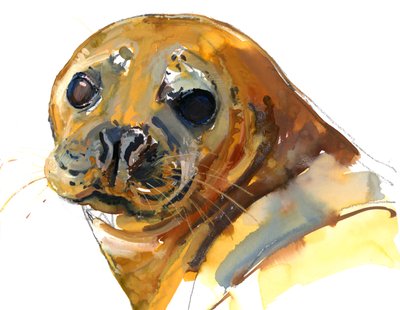 Cucciolo di zenzero, Westcove da Mark Adlington