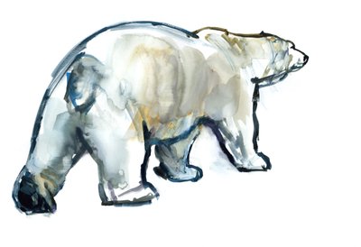 Glacier Mint (Orso polare), 2013 da Mark Adlington