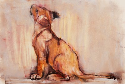 Cucciolo dorato da Mark Adlington
