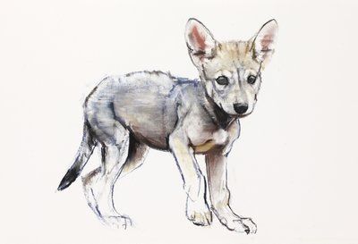 Cucciolo di Lupo Arabo Esitante, 2009 da Mark Adlington