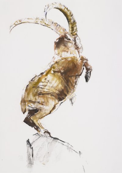 Re della montagna, 2005 da Mark Adlington