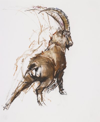 Allungamento delle gambe da Mark Adlington