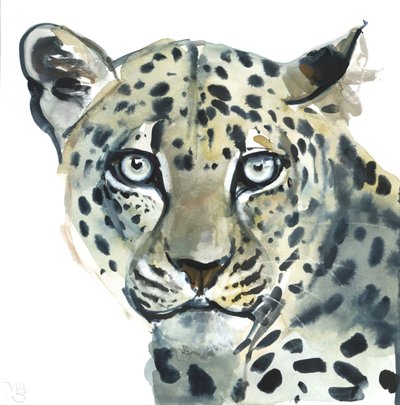 Leopardo, 2015 da Mark Adlington