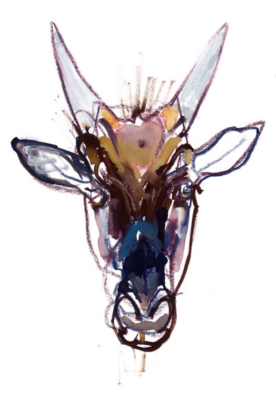 Piccolo diavolo (gnu), 2022 da Mark Adlington