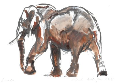 Loisaba conservancy da Mark Adlington
