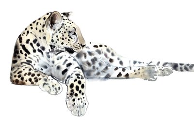 Long (Leopardo Arabo), 2015 da Mark Adlington