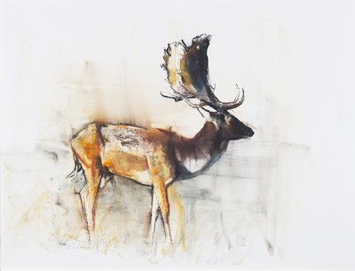 Magnifico cervo caduto, 2006 da Mark Adlington