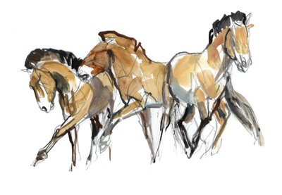 Mistral Tre (Przewalski) da Mark Adlington