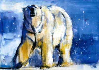 Luci del Nord, 1998 da Mark Adlington