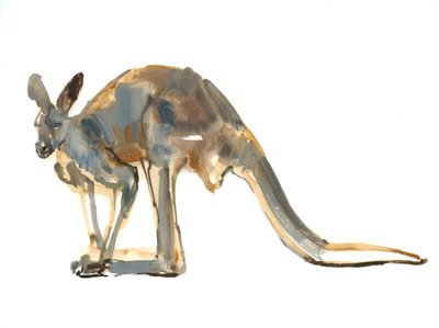 Ochre Dusted, (Canguro Rosso) da Mark Adlington