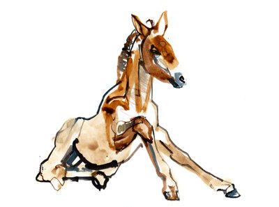 Puledro Ocra (Przewalski), 2013 da Mark Adlington
