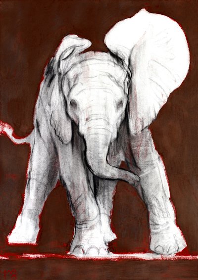 Un Orecchio Su, 2018 da Mark Adlington