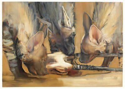 Attacco del branco (giovani iene striate) da Mark Adlington