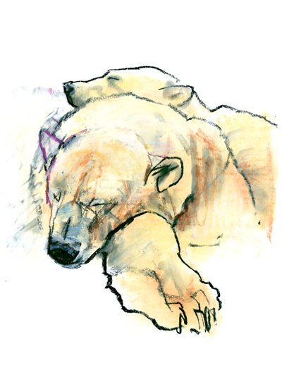 Cuscino da Mark Adlington