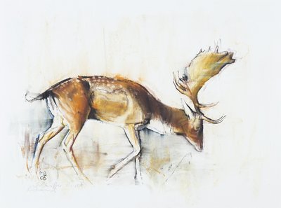 Pisanello Buck, 2006 da Mark Adlington