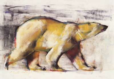 Orso polare da Mark Adlington