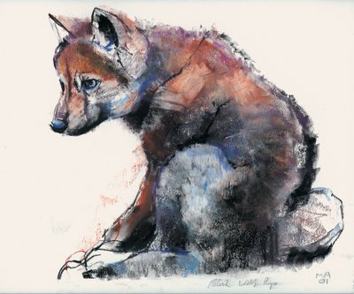 Cucciolo di lupo polacco, 2001 da Mark Adlington