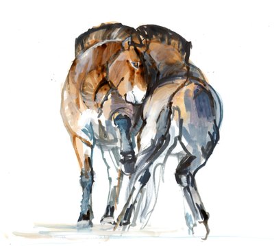 Danza del potere (Przewalski), 2013 da Mark Adlington