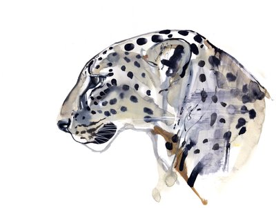 Profilo (Leopardo arabo), 2008 da Mark Adlington