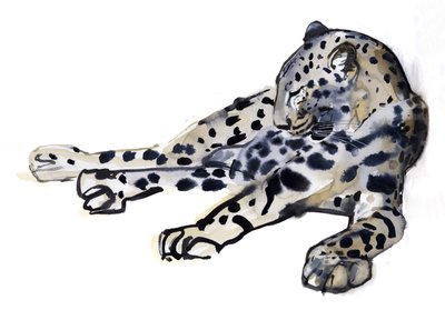Leopardo arabo sdraiato, 2008 da Mark Adlington