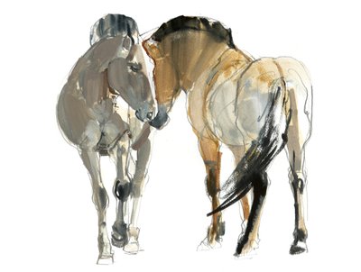 Rencontre (Przewalski), 2013 da Mark Adlington
