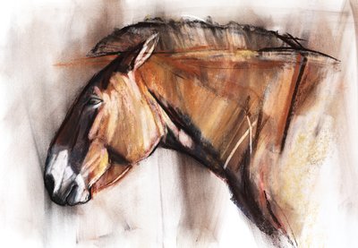 Cavallo a riposo da Mark Adlington