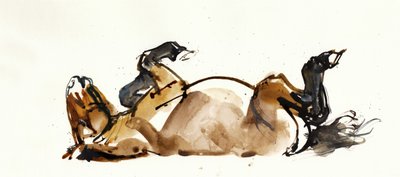 Cavallo rotolante (Przewalski), 2013 da Mark Adlington