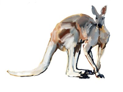 Roo, (Canguro rosso) da Mark Adlington