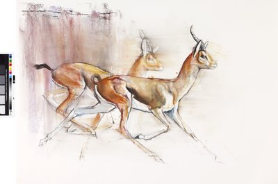 Gazzelle arabe in corsa, 2010 da Mark Adlington