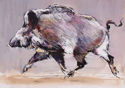Cinghiale in corsa, 1999 da Mark Adlington