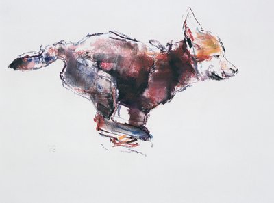 Cucciolo di lupo in corsa da Mark Adlington