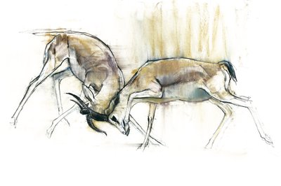 Gazzelle della sabbia, 2009 da Mark Adlington