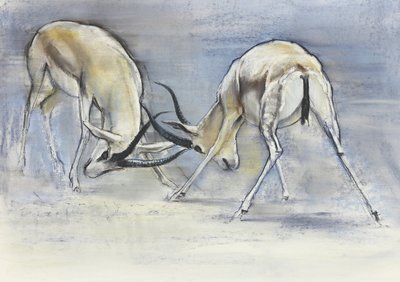 Gazzelle della sabbia, 2009 da Mark Adlington