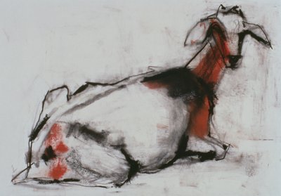 Capra seduta, 1998 da Mark Adlington