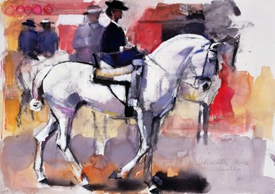 Amazzone alla Feria de Sevilla, 1998 da Mark Adlington