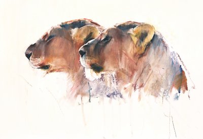 Sorelle, Etosha, 2017 da Mark Adlington