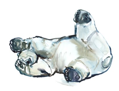 Sfregamento sulla neve (Orso polare), 2013 da Mark Adlington