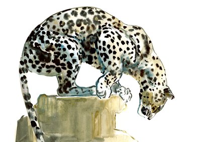 Spine (Leopardo Arabo), 2015 da Mark Adlington