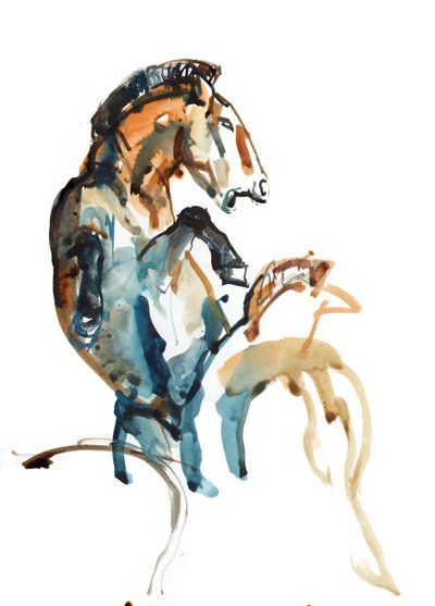 Spirito (Przewalski) da Mark Adlington