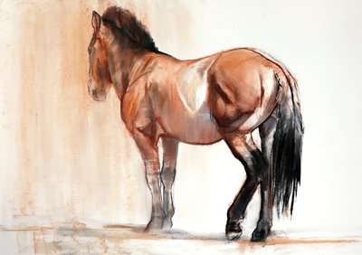Stand (Przewalski) da Mark Adlington
