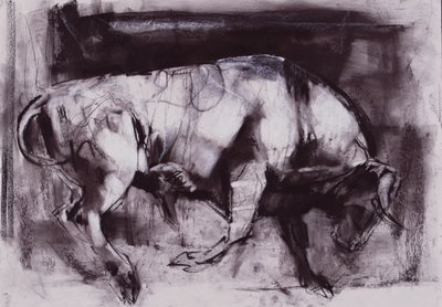 Il Toro Bianco (studio), 1998 da Mark Adlington
