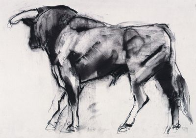 Toro Azul, studio da Mark Adlington