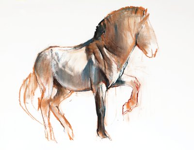 Turning (Przewalski) da Mark Adlington