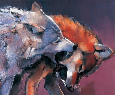 Due lupi (dettaglio) da Mark Adlington