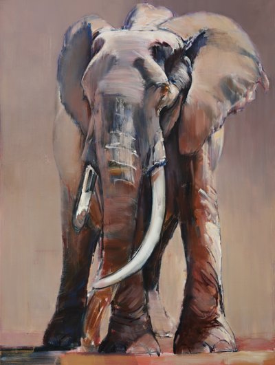 Vecchia Matriarca Venerabile da Mark Adlington