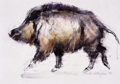Cinghiale, 1999 da Mark Adlington