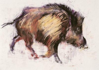 Cinghiale al trotto, 1999 da Mark Adlington
